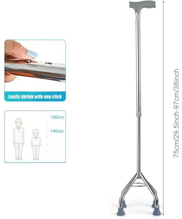 Lightweight Four Legged Cane with Soft Grip Handle Height Walking Stick with Slip Resistant Rubber Tips Silver Star of Light - Buy Online on GoSupps.com