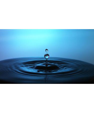 Algae Marine Toner 150ml - Rejuvenate Hydrate & Soothe | TARA - International Shipping Available - Buy Online on GoSupps.com