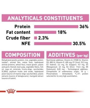 Royal Canin Kitten Dry Cat Food 2kg - Premium Nutrition for Growing Cats - Buy Online on GoSupps.com