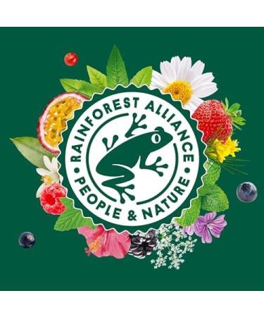 Elephant Flavored Infusion Peach Apricot and Thyme Flavor Rainforest Alliance Certified 100% Natural Ingredients - Buy Online on GoSupps.com