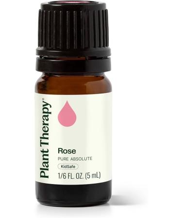 Plant Therapy Rose Absolute Essential Oil 5 mL (1/6 oz) 100% Pure Undiluted Calming & Emotionally Grounding Great Essential Oil for Skincare 0.16 Fl Oz (Pack of 1) - Buy Online on GoSupps.com