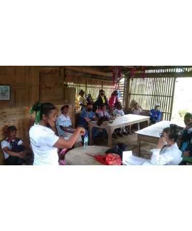 Plantsville Health Cinnamon Coco Sugar 150g - Natural Sugar Substitute for Baking & Drinks - Buy Online on GoSupps.com