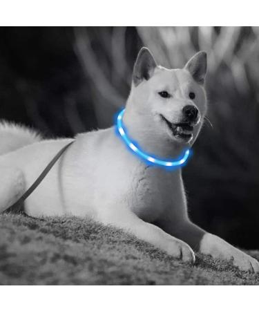 Laroo LED Luminous Dog Band - Adjustable Waterproof USB Collar for Small Medium & Large Dogs and Cats | 3 Modes - Sky Blue - Perfect for Night Safety - Buy Online on GoSupps.com