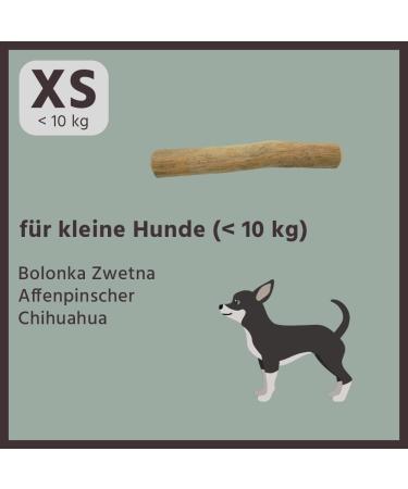 BV Petcare Coffee Wood Caustab - Natural Dog Toy Chewing Bones for Small Dogs (XS up to 10 kg) - 1 Pack - Buy Online on GoSupps.com