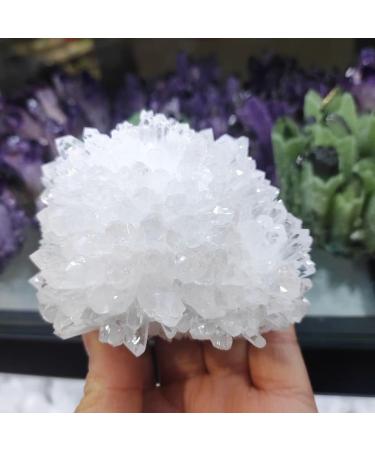 1pcs Natural White Quartz Crystal Cluster Clear Quartz Specimen Stone Crystal Point Specimen Home Decoration JIZTGEDM (Size : 500-600g) - Buy Online on GoSupps.com