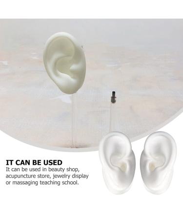 Buy Silicone Ear Mold Practice Tool - Acupoint Learning & Simulation Ear Model for Auditory Meatus | International Shipping Available - Buy Online on GoSupps.com