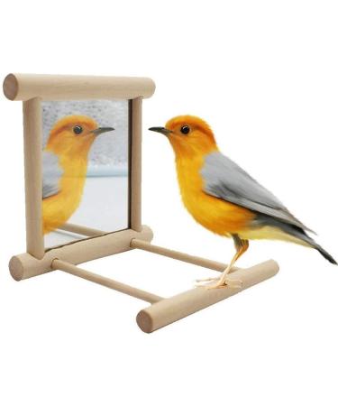 Hanging Bird Mirror Swing Toy - Interactive Play for Small Parrots & Birds - 2PCS - Buy Online on GoSupps.com