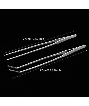 Winterworm Acrylic Reptile Feeding Box Transparent Breeding Box Terrarium with 2 Pcs Straight and Curved Tweezers for Pet Insect Spider Crickets Snails Hermit Crabs Lizard (Large(20x12x12cm)) - Buy Online on GoSupps.com