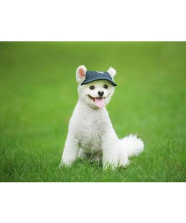 Shop Bbeart Camouflage Pet Hat for Small Dogs - Stylish Leisure Visier Baseball Sun Cap with Ear Holes & Chin Straps - Buy Online on GoSupps.com