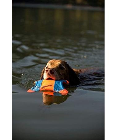 Buy Chuckit! Flying Squirrel M Double Pack - 2x1 Piece | Durable & Lightweight Dog Toys | 35 cm | Water-Resistant | International Shipping Available - Buy Online on GoSupps.com