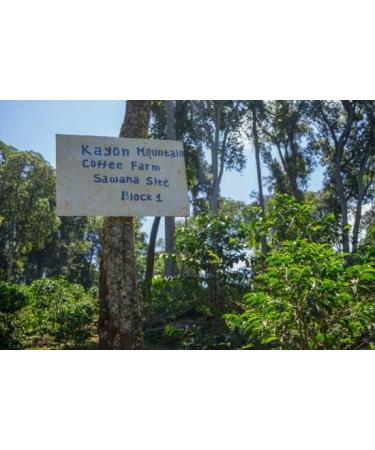 West End Coffee Roasters Ethiopia Organic Guji Kayon Mountain Farm - 29 Top Grade Single Origin Medium Roast Whole Bean (12oz/340.2g x 3) Ethiopia Organic Guji 29 - med roast 113.33 g (Pack of 3) - Buy Online on GoSupps.com