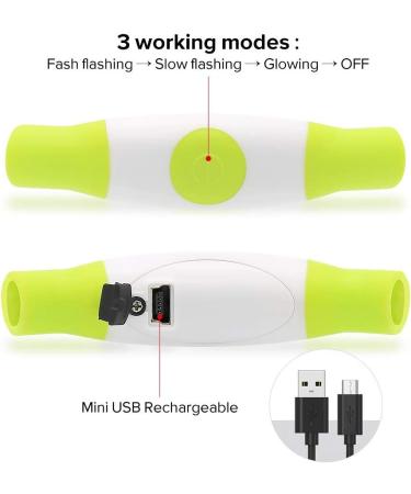 BSEEN LED Dog Collar Light - USB Rechargeable Glowing Collar for Small, Medium & Large Dogs in Green - Buy Online on GoSupps.com