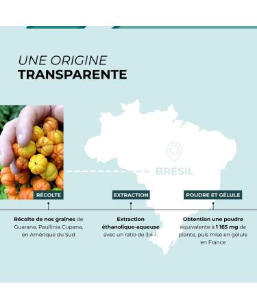 Guarana Pure Cuure 90 Days 22% Caffeine Mental and Physical Fatigue Weight Control Powerful and Effective Vegan Food Supplement Formulated and Packaged in France - Buy Online on GoSupps.com