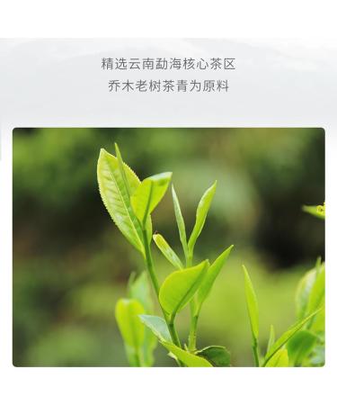 Pu-erh tea 2020 Old comrade fresh fragrance 357g Raw - Buy Online on GoSupps.com