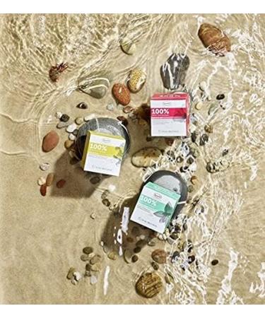 Ronnefeldt 100% Lemon Green - Organic Green Tea with Lemon Flavour 15 Tea Bags of 2 g 30 g | Organic | Vegan | Eco-friendly Quantity: 1 Piece - Buy Online on GoSupps.com