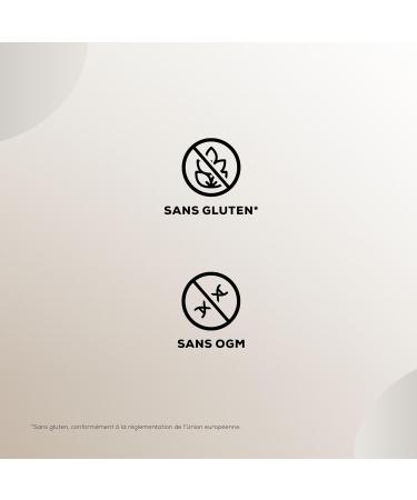 BioTechUSA Crispy Protein Bar | Sweet & Crunchy | High Protein Delight | On-the-Go Energy & Muscle Support 16x40g Milk - Buy Online on GoSupps.com