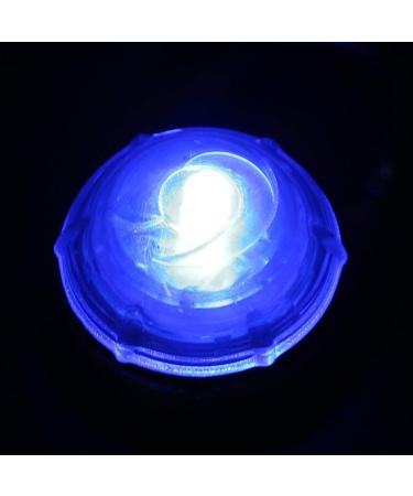 LED Dog Light Pendant Keychain - Flashing Safety Trailer Lights for Camping & Hiking (Blue) - Buy Online on GoSupps.com
