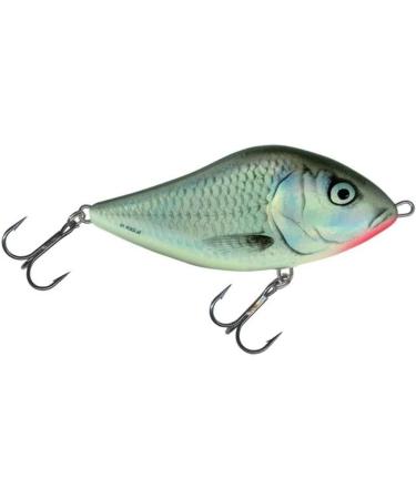 Salmo Wobbler Slider RR 7cm 21g Sinking Lure - Real Roach | Buy Internationally - Buy Online on GoSupps.com
