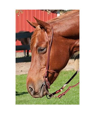 Latigo Leather Split Ear Headstall - Premium Quality for Superior Performance - Buy Online on GoSupps.com