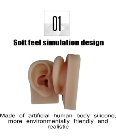 Silicone Acupuncture Ear Model Set for Science Class - Reusable & Anatomically Accurate - Buy Online on GoSupps.com