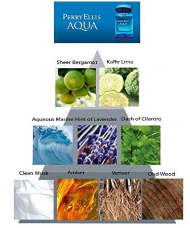 Perry Ellis Aqua Men 4 Pc Gift Set - 3.4oz EDT Spray, 0.25oz EDT Spray, 6.8oz Body Spray, 1.7oz Shower Gel - Buy Online on GoSupps.com