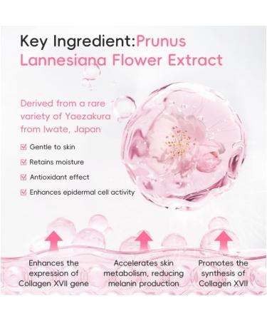 Cherry Blossoms Moisturizing Cream for Dry Cracked Feet and Hands with Soothing Scent Dry Cracked Hand & Hand Lotion Hand & Hand Lotion - Buy Online on GoSupps.com