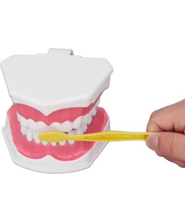 Vomeko Tooth Brushing Practice Model for Kids - Ideal Training Set with Brush - International Shipping Available - Buy Online on GoSupps.com