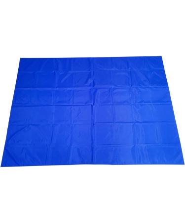 Reusable Flat Sliding Sheets to Assist Moving Transfer Turning and Repositioning The Elderly and Disabled Patient in Beds Hospital and Home (Blue 200x140cm) - Buy Online on GoSupps.com