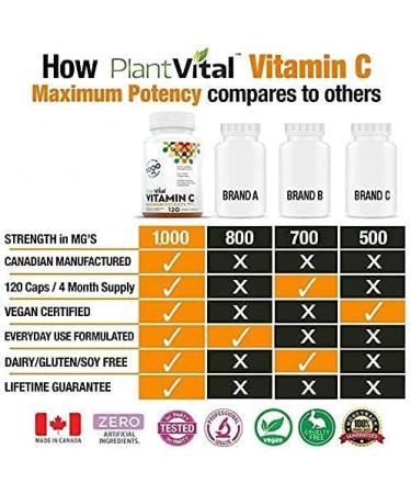 PlantVital Vitamin C 1000mg MAXIMUM STRENGTH. 120 Vegan Capsules Canadian Made Vit C Supplements helps support immune system collagen & connective tissue formation maintenance of bones teeth & gums (1 Bottle) 120 count (Pack of 1) - Buy Online on GoSupps.com