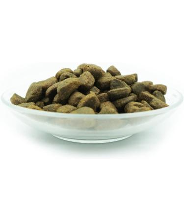 Dry food with wild salmon and trout - Torrent feast - Wildbach-Schmaus - 7.5 kg - Buy Online on GoSupps.com
