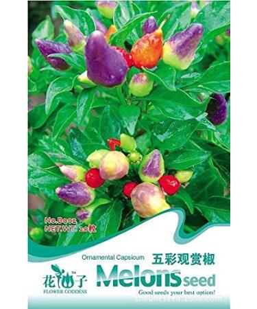 Arcobaleno Pod semi di Pepe Verdure Bonsai semi di Pepe di RARA bellezza semi scolorisce peperoncini 30 pc/sacchetto I24 peperoni Arcobaleno