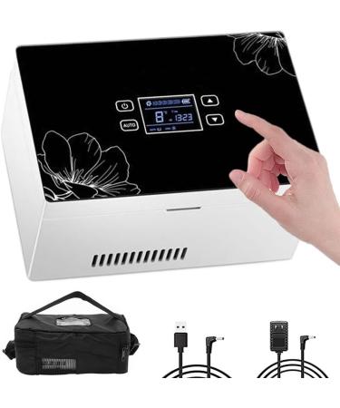Insulin Cooling Case Insulin Portable Cooler Car Refrigerated Electrical Auto Refrigerator Travel Outdoor Mini Fridge Insulin Portable Medicine Box (Color : 3batteries)