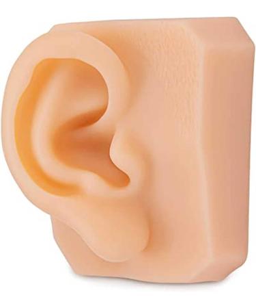 Life-Size Human Ear Silicone Model for Training and Education Display - Buy Online on GoSupps.com