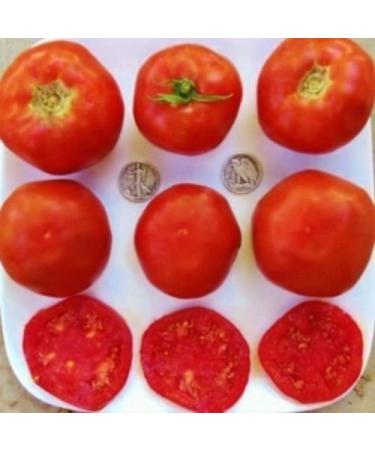Mule Team Organic pomodoro semi Perfect Slicer 40 semi