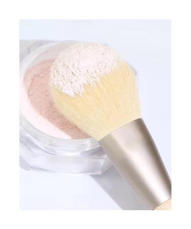 DFHBFG 12-Piece Makeup Brush Set | Soft Animal Hair | Eye Shadow Powder Blusher & Concealer Brushes | Black - Perfect for Flawless Makeup Application - Buy Online on GoSupps.com