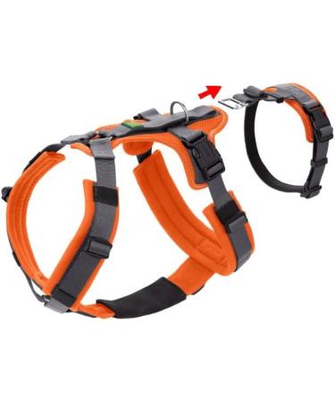 Buy Orange/Grey Safety Harness - Maldon Size LL | International Shipping Available - Buy Online on GoSupps.com