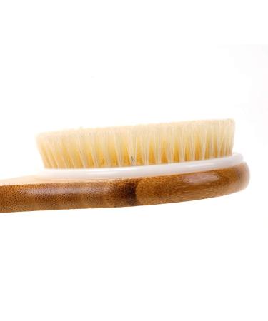 Zhurson Dry Body Brush - Natural Bristle Back & Shower Brush with Long Wooden Handle for Exfoliation Blood Circulation & Lymphatic Support - Buy Online on GoSupps.com