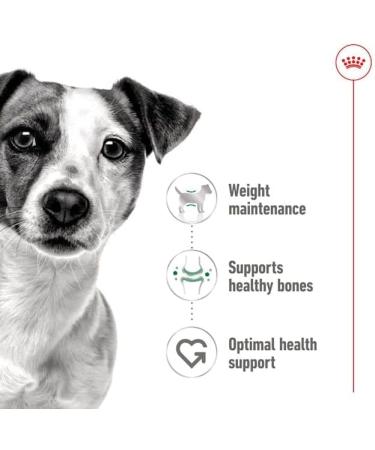 Royal Canin Mini Adult Wet Dog Food In Loaf Cans 12 x 195g - Buy Online on GoSupps.com