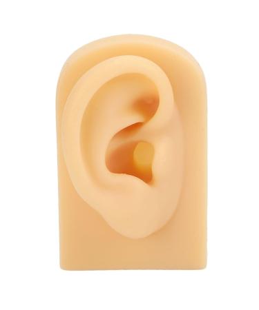 High-Quality Human Silicone Ear Model for Hearing Aid Display - Soft & Elastic Simulation for Beginners - Buy Online on GoSupps.com