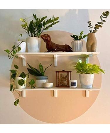 Lulu Candles Ocean Mist & Sea Salt - Luxury Scented Soy Candle | Hand Poured 9 Oz | Highly Scented & Long Lasting | Shop Internationally - Buy Online on GoSupps.com