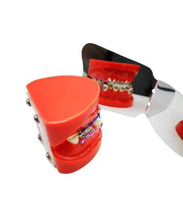 Sino Dental Intraoral Mirrors Double Sided Photography Mirror | Anti-Scratch Rhodium Plated Surface - Buy Online on GoSupps.com