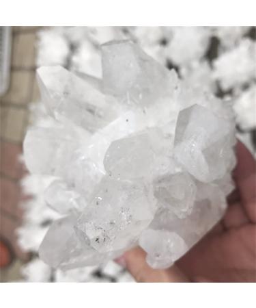 1pc Natural s Clear Quartz Cluster Freeform s Room Home Office Aquarium Decoration Accessories Gemstone Can be Used for (Size : 550-600g) ningxiao (Size : 250-300g)