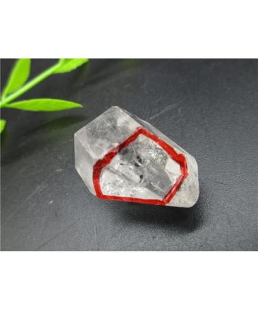 Rare! Natural Clear Quartz Water Bladder Reiki Fengshui Crystal Stones Natural Stone - Buy Online on GoSupps.com