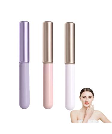 3pcs Portable Lip Brush Set - Travel Size Face Makeup Brush with Cover | Round Head Smudge Applicator for Lipstick & Eye Shadow (3 Colors - Buy Online on GoSupps.com
