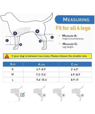 Dog Pet Knee Brace for Support with Cruciate Ligament Injury Joint Pain and Muscle Sore Better Recovery with Dog ACL Knee Brace Adjustable Rear Leg Braces for Dogs Knee Brace (Large) - Buy Online on GoSupps.com