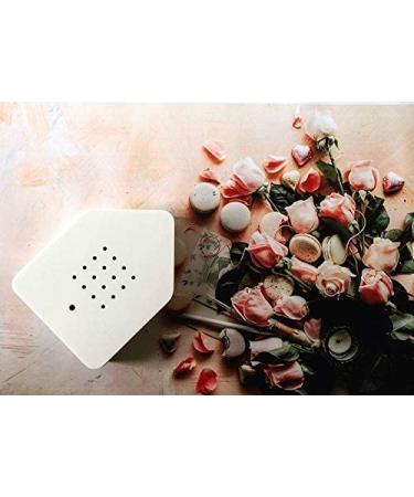 Brainstream Zwitscherbox Classic White Sound Therapy Machine with Motion Sensor - Buy Online on GoSupps.com