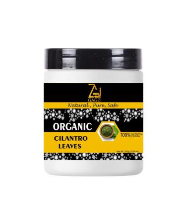 GAGZI All Natural Organic Spices Cilantro Leaves 100 Gram (Packing May Be Vary) Pack Of 1 100 Gram 3.35 oz