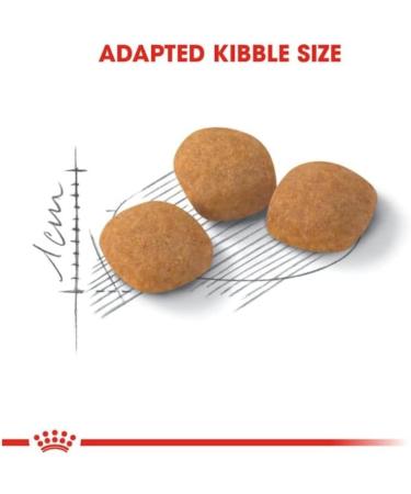 Royal Canin Protein Exigent | 400 g | Complete food for particularly fussy cats from 12 months | Contains a specially adapted energy intake - Buy Online on GoSupps.com