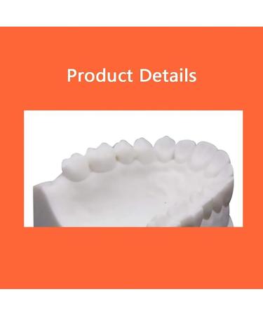 Standard Teeth Model for Dental Practice - Detachable Oral Soft Gum Tooth Extraction Tool | Best Teaching Aid for Dentistry - Buy Online on GoSupps.com