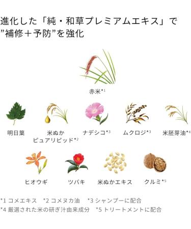 Ichikami Smooth Care Hair Shampoo Pump - 480ml - Buy Online on GoSupps.com